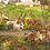 test2422